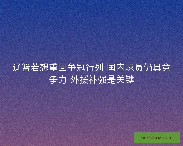辽篮若想重回争冠行列 国内球员仍具竞争力 外援补强是关键