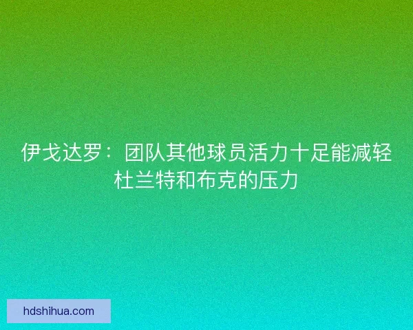 伊戈达罗:团队其他球员活力十足能减轻杜兰特和布克的压力 伊戈达罗:团队其他球员活力十足能减轻杜兰特和布克的压力