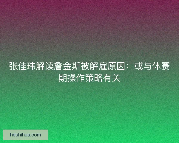 张佳玮解读詹金斯被解雇原因：或与休赛期操作策略有关