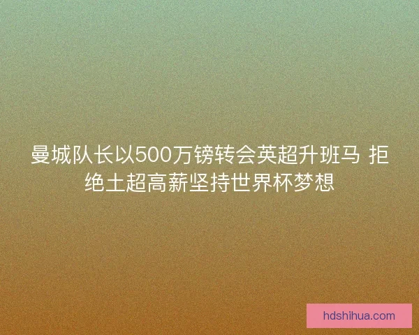 曼城队长以500万镑转会英超升班马 拒绝土超高薪坚持世界杯梦想